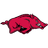 Arkansas Razorbacks