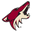 Arizona Coyotes