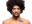 Alex Caceres
