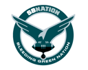 Bleeding Green Nation