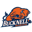 Bucknell Bison
