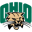 Ohio Bobcats