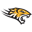 Towson Tigers